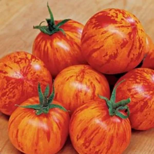 1 প্যাকেট Red Zebra টমেটো বীজ 300tk