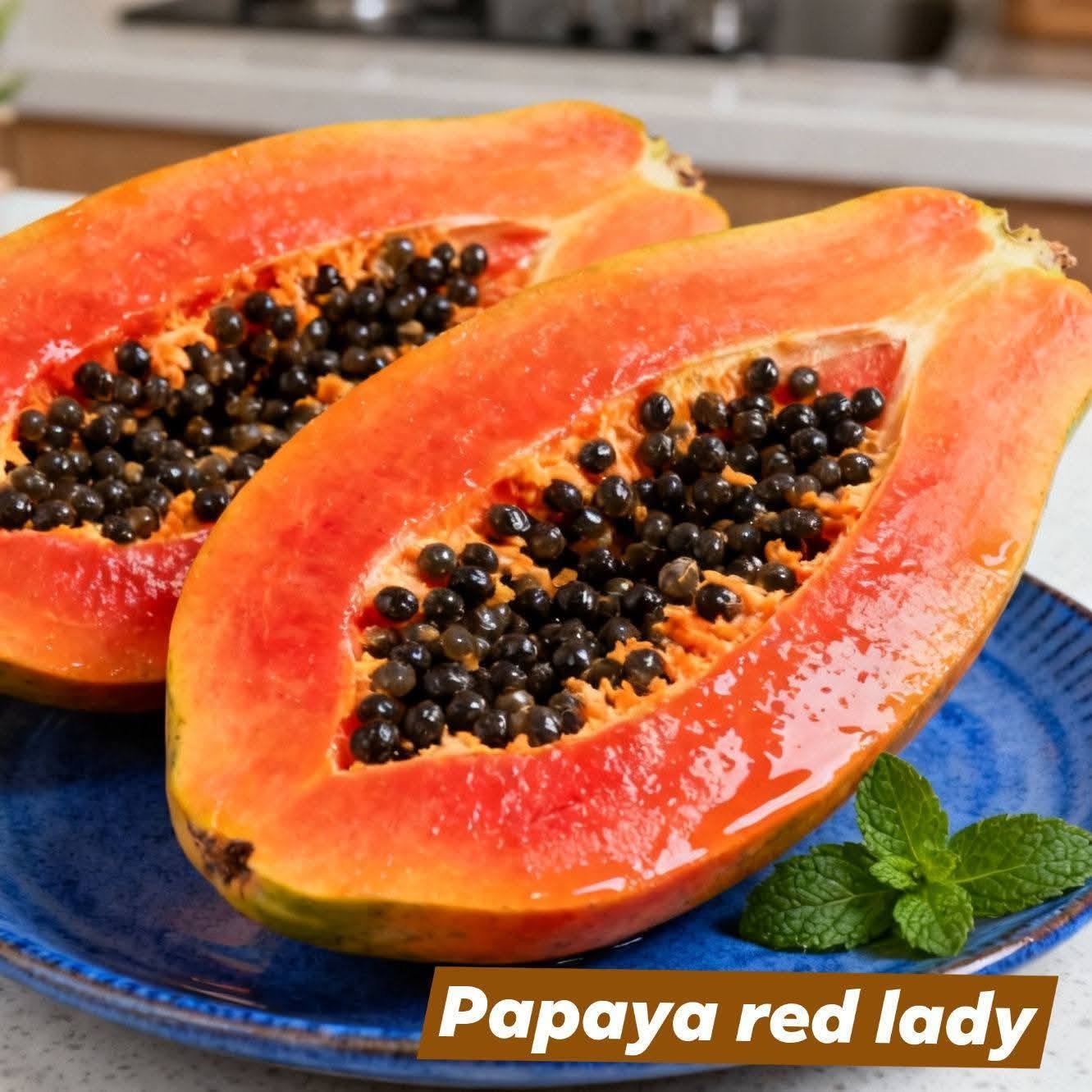 1 প্যাকেট Red lady Papaya বীজ 300tk
